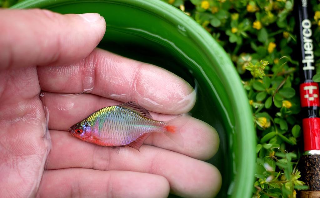 Huerco NB120 Overhead rod swing /