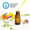 10pcs Hypoallergenic Plastic Transfer Pipettes for Essential Oils & Cosmetics - Disposable, Sterile Chemistry Experiment Dropper