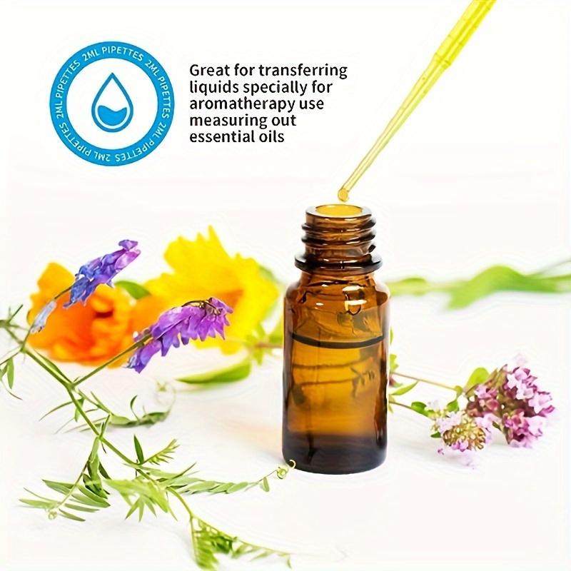 10pcs Hypoallergenic Plastic Transfer Pipettes for Essential Oils & Cosmetics - Disposable, Sterile Chemistry Experiment Dropper