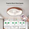 Mid-Century Walnut Wood Grain 360° Oscillating Fan Light for Bedroom or Children's Room
