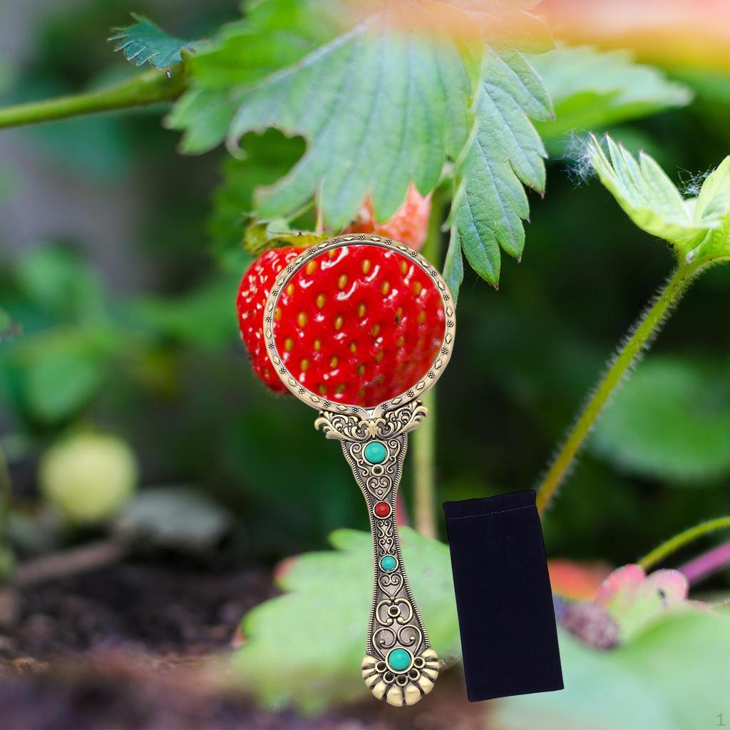 3x Retro Glass Book Reading Aid Fine Pattern Magnifier Identification Tool for Science Class