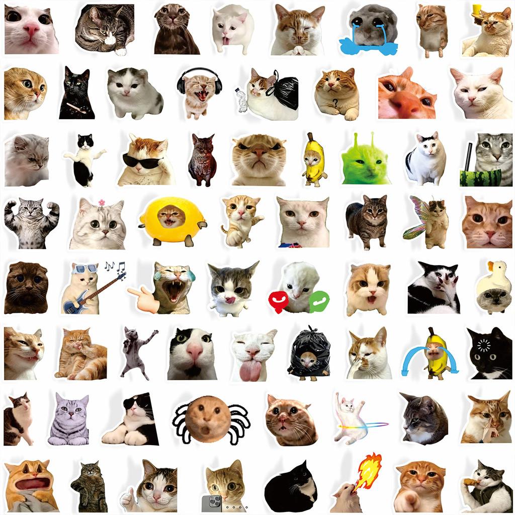100Pcs Funny Cat Meme Stickers Cute Kitten Expression Decals Waterproof For Notebook Journal Decor LanLanStickersWorld Store