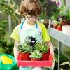 20PCS Garden Decor Garden Supply Plastic Nursery Pot Planter Seed Trays Plant Pots Flower Bucket