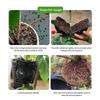 10er-Pack Veredelungsboxen für den Gartenbau, transparente Bewurzelungsstreifen, Stecklingsvermehrungswerkzeug für Obstbäume und Blumen.