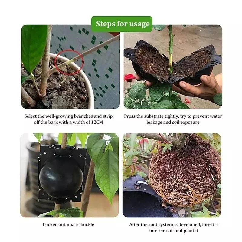 10er-Pack Veredelungsboxen für den Gartenbau, transparente Bewurzelungsstreifen, Stecklingsvermehrungswerkzeug für Obstbäume und Blumen.