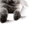 Yousheng Lovely Cat Toilet Lid Wall Sticker Fashion Home Art