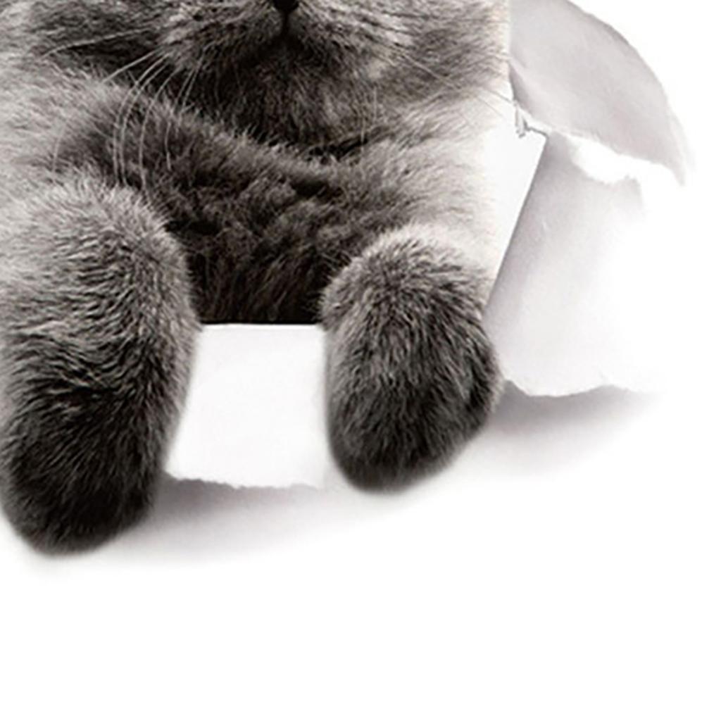 Yousheng Lovely Cat Toilet Lid Wall Sticker Fashion Home Art