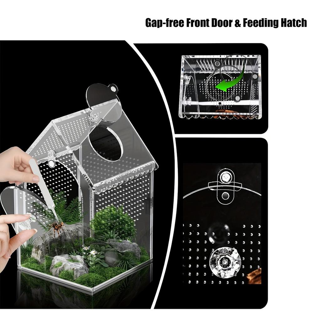 Clear Acrylic Reptiles Terrarium Breading Box With Removable Top Lid Ventilation Hole 12x12x20cm For Science Experiment