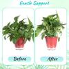 Plant Support Stakes Set of 2 Plastic Climbing Trellis Garden Plant Support Frame Growing Tool