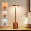 3 Color Touch Control Cordless LED Desk Lamp, Rechargeable Alloy Nordic Ambient Night Light for Bar Home Restaurant