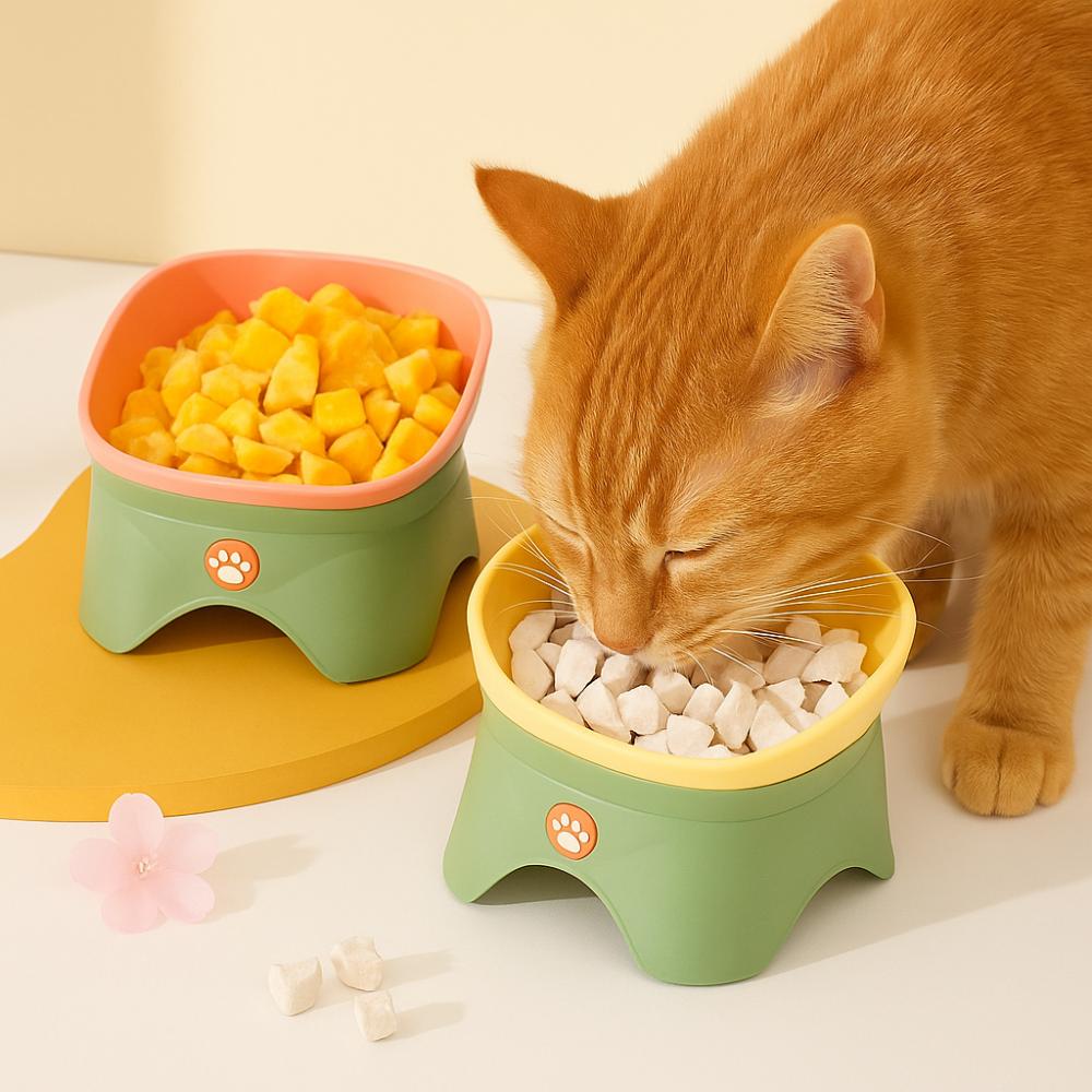 Raised Design Puppy Food Bowl Multifunctional Drinking Feeding Bowl Creative Pet Bowl Dogs Cats