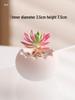 Handmade Ceramic Wave-Opening Succulent Pot for Desktop Decor
