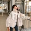 Imitation Fox Fur Jacket Women's Winter Clothing New Loose and Thin Short Stand-up Collar Plush and Cotton Coat