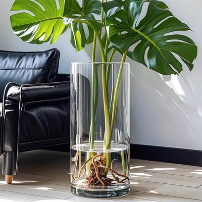 Μεγάλο διαφανές γυάλινο βάζο για υδροπονική μονστέρα και τυχερό μπαμπού στο σαλόνι.