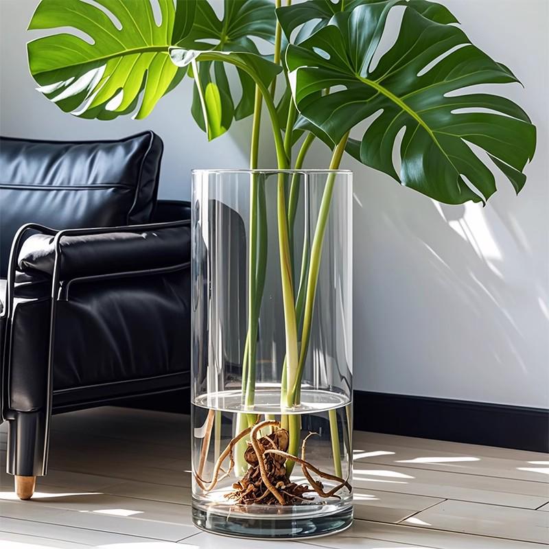 

Велика прозора скляна ваза для гідропонної монстери та щасливого бамбука у вітальні. Diameter 15 Height 20 cm
