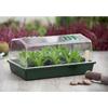 Rigid Mini Greenhouse - - Vented Lid - H18x37x24 Cm - Green