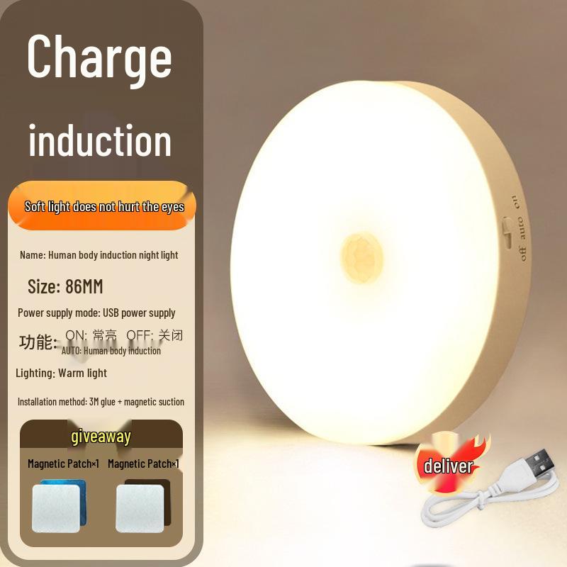 Taoist Smart Induction Night Light 2025: Voice-Controlled, Automatic Brightness Adjustment.