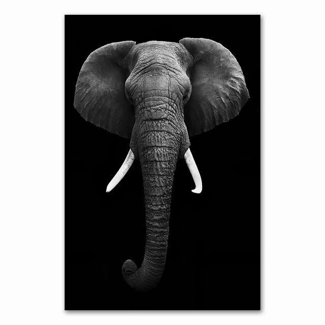 

Картина на холсте с изображением животных, настенное искусство, лев, слон, олень, зебра, постеры и принты, настенные панно для украшения гостиной, домашний декор, без рамки 21*30cm