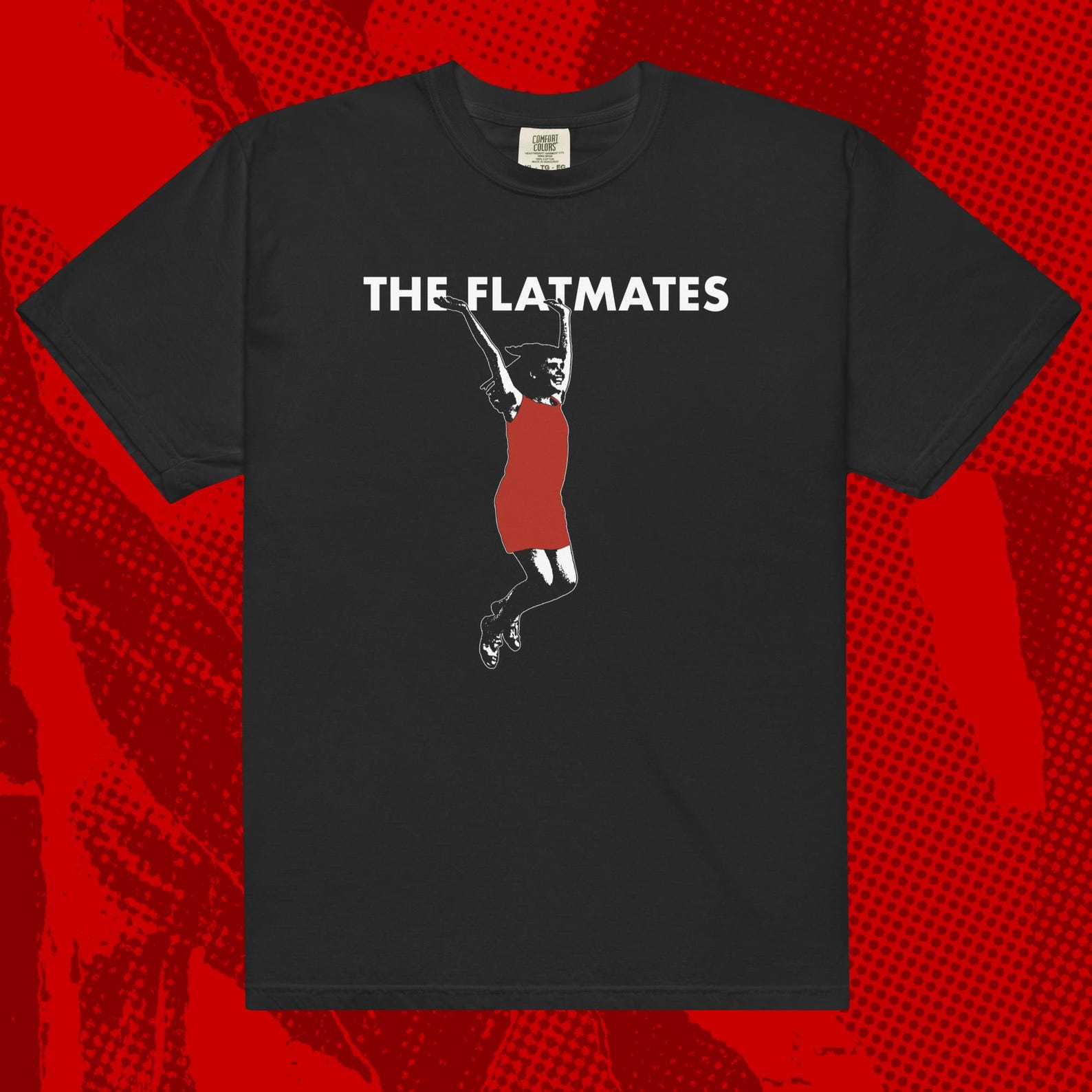 The Flatmates T-Shirt | C86 Indie Pop Twee UK Jangle Pastels Shop Assistants 4XL