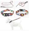 Homie Pettie Luminous Collar for Dogs Dog Collar and Lead Luminous Collar for Light for Luminous 3M Reflective Material Supports Safe Cat Collar with