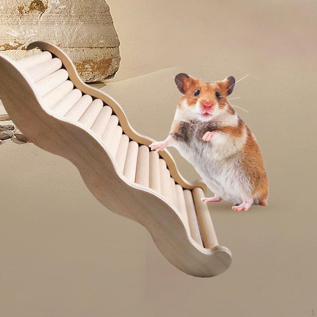Hamster Stairs, Decorative Exercise Y Cage Accessories Gift Ladder Ys for Budgie Pet