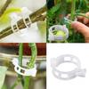 100/300-Piece Plant Support Clip Set – 3x0.9cm Garden Trellis Clips For Tomatoes, Cucumbers, Roses, Vines – Hollow Design, Reusable