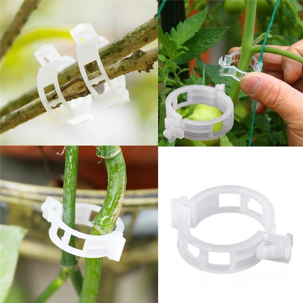 100/300-Piece Plant Support Clip Set – 3x0.9cm Garden Trellis Clips For Tomatoes, Cucumbers, Roses, Vines – Hollow Design, Reusable