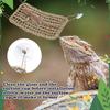 Reptiles – Terrarios de reptiles