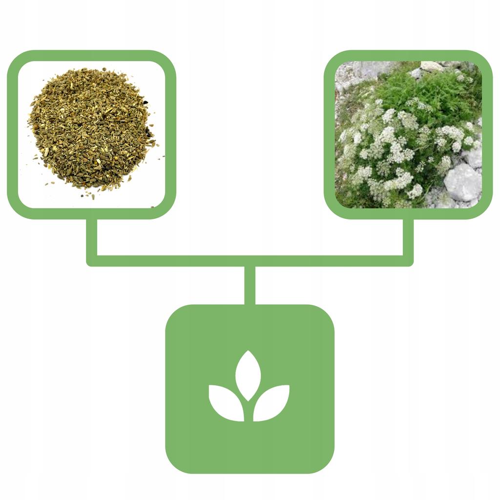 Anise Seeds 500 G Natural Shop