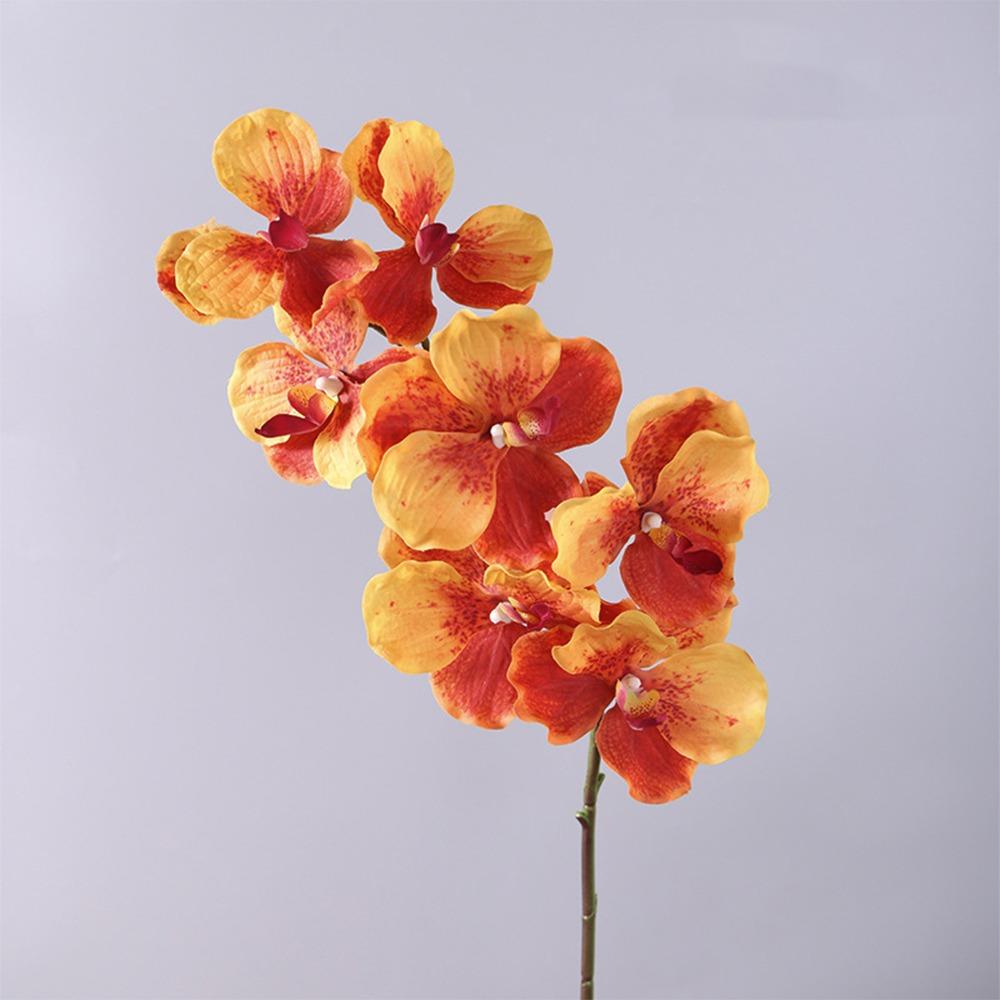 Plastic Phalaenopsis Branch Moisturizing Real Touch Orchids Simulation Flower  Office Decor