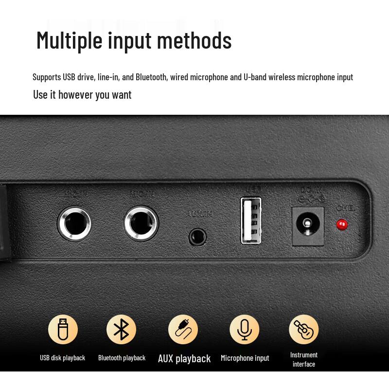 Philips SD308 Portable Bluetooth Karaoke Speaker CN plug (adapter included)
