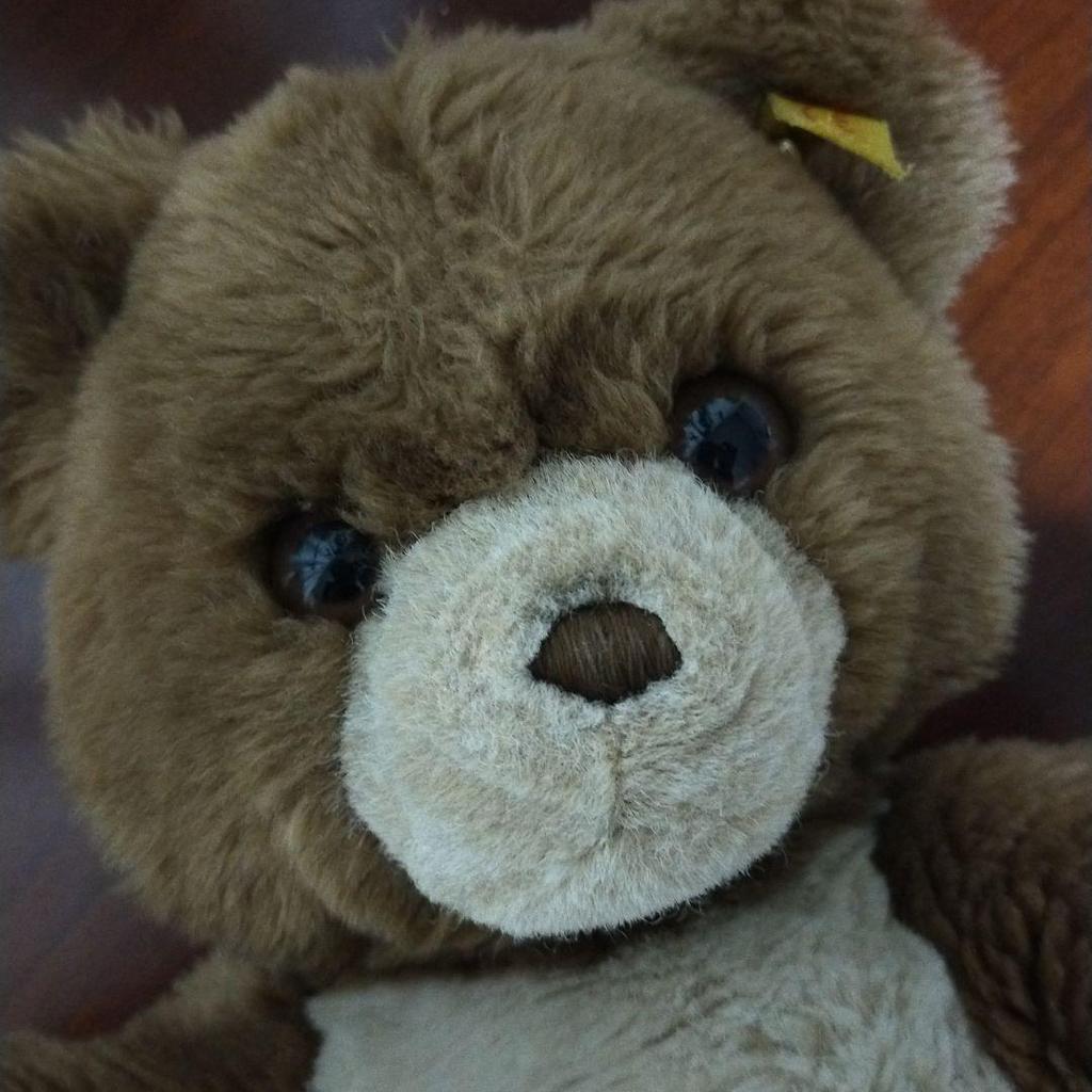 [USED] Steiff teddy bear