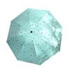 Mini-Regenschirm mit Sternenmuster, faltbar, wasserdicht, winddicht, UV-beständig