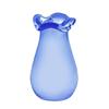 4pcs Cats Whisker Collector Glass Container Miniature Plant Jars Pet Furs Organizers Decorative Home Accessory