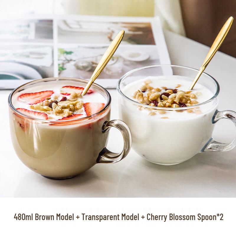 Qiwei Large Capacity Glass Breakfast Mug with Lid and Spoon