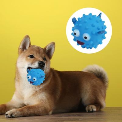 Kjæledyr Hund Tygge Leke Lyd Bite Leke Kjæledyr Molar Interaktiv leke for små mellomstore hunder Katter Valp Teething Toy