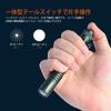 ACEBEAM Pokelit 2AA Nichia 519A High Color Daylight 600 Small Compatible with AA IP68 Practical Light Up To Stable LED Disaster Handy Daily Carry