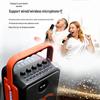Songchuan SC-007 Portable Outdoor Karaoke Bluetooth Speaker