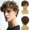 Männer Kurz Braun Schwarz Perücken Täglich Cosplay Kostüm Synthetisches Haar Flauschige Lockige Perücken mit Pony Hochtemperaturfaser
