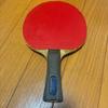 Used Table Tennis Racket VICTAS Fire Fall AC