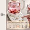 SUPOR 2L Multi-functional Health & Tea Kettle