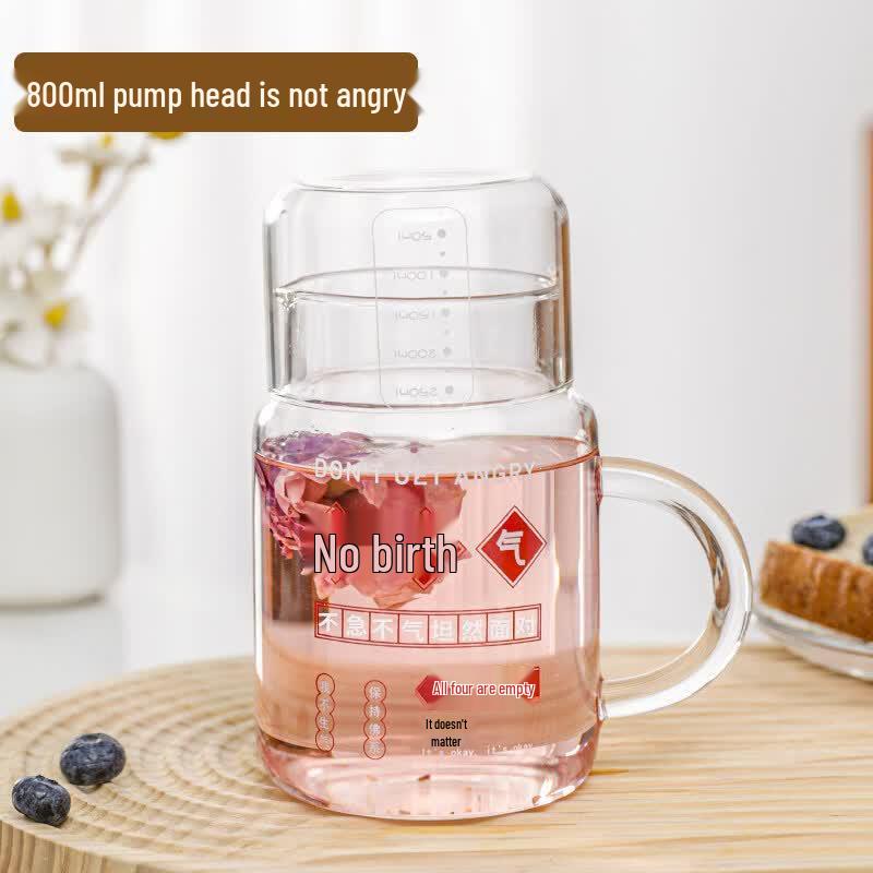 800ml Glass Tea Infuser Bottle with Lid