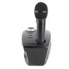Bluetooth Speaker Home KTV Karaoke Bluetooth Speaker with Two Microphone (Black)
