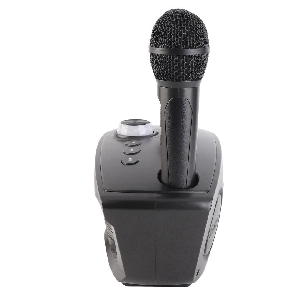 Bluetooth Speaker Home KTV Karaoke Bluetooth Speaker with Two Microphone (Black)