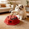 Kedi – Kedi Oyuncakları