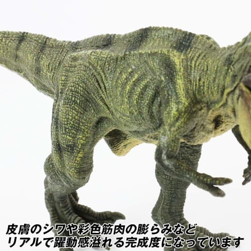Aki Kumaya's Impressive 30cm Tyrannosaurus Rex Figure, King of the Dinosaurs, Standing On Both Legs, PVC, Opening and Closing Mouth [Warranty Included