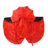Halloween New Pet Transformation Cape, Cat and Dog Funny Transformation Clothes Pet Upright Outfit