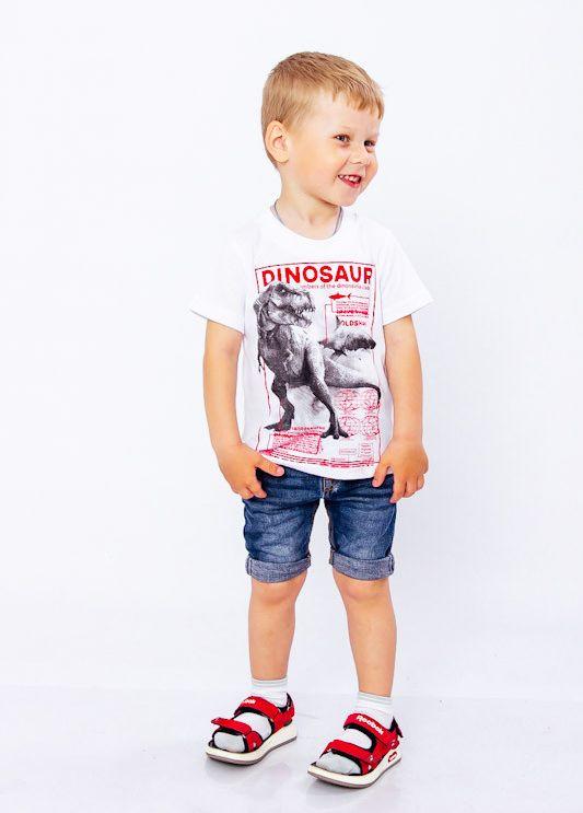 Boys’ T-Shirt – Lightweight Cotton & Comfortable Fit, Summer, 6021-001-33-1-4 HC