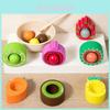 Wooden Fruit Sorting Cups For Baby Cognitive Development And Early Learning