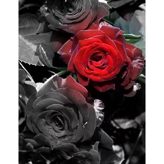 huacan Diamant Mozaic Flori Strasuri Diamant Broderie Diamant Pictură Floral Trandafir